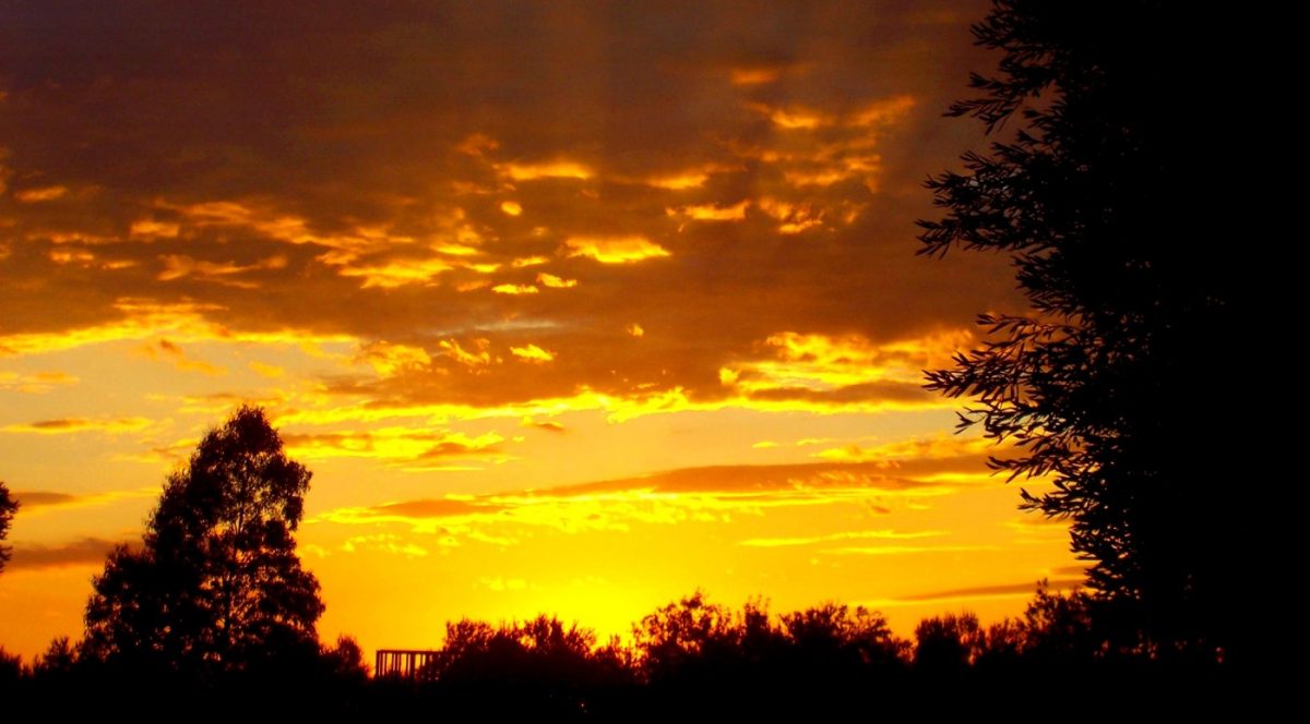  Un'oasi di quiete, serenità e natura dove rigenerarsi 