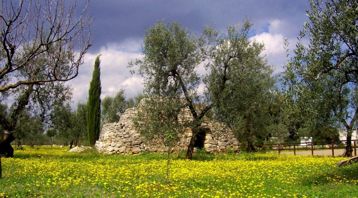  Un luogo dove ritrovare il gusto di una vacanza a contatto con la natura in completo relax, fra ulivi secolari ed essenze mediterranee.